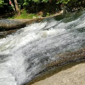 Meet your Posher, Devin